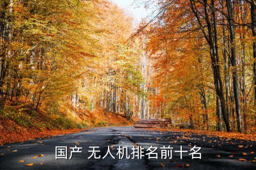 中國(guó)生產(chǎn)無人機(jī)的上市公司,深圳生產(chǎn)無人機(jī)的上市公司有哪些