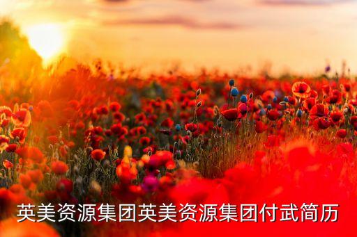 英美資源集團(tuán)英美資源集團(tuán)付武簡歷