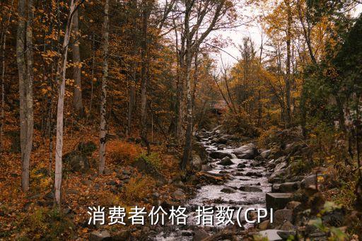 消費(fèi)者價格 指數(shù)(CPI