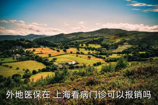 外地醫(yī)保在 上?？床￠T診可以報銷嗎