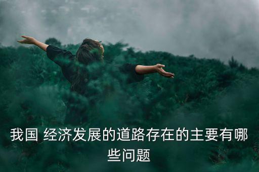 我國(guó) 經(jīng)濟(jì)發(fā)展的道路存在的主要有哪些問題