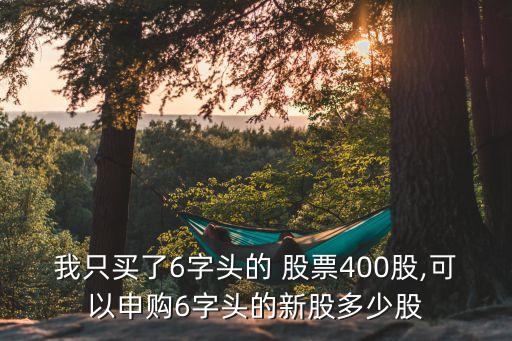 我只買(mǎi)了6字頭的 股票400股,可以申購(gòu)6字頭的新股多少股