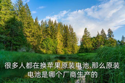 上海匯陽新能源科技有限公司,匯陽新能源科技有限公司審計結果