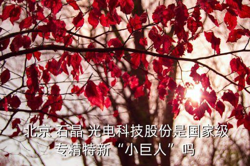  北京 石晶 光電科技股份是國(guó)家級(jí)專精特新“小巨人”嗎