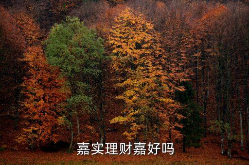  嘉實(shí)理財(cái)嘉好嗎