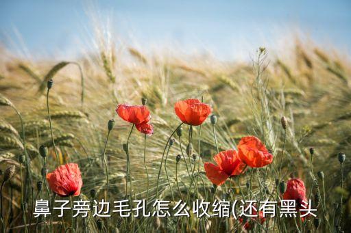 山東安穗能源有限公司,山東能源魯西礦業(yè)集團有限公司