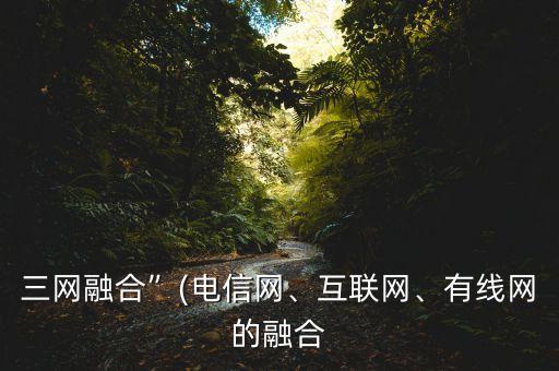 三網(wǎng)融合”(電信網(wǎng)、互聯(lián)網(wǎng)、有線網(wǎng)的融合