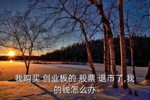 我購(gòu)買(mǎi) 創(chuàng)業(yè)板的 股票 退市了,我的錢(qián)怎么辦