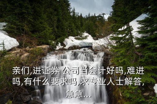 親們,進(jìn)證券 公司當(dāng)會計好嗎,難進(jìn)嗎,有什么要求嗎,求專業(yè)人士解答,急急...