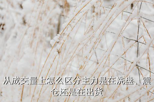 從成交量上怎么區(qū)分主力是在洗盤、震倉還是在出貨