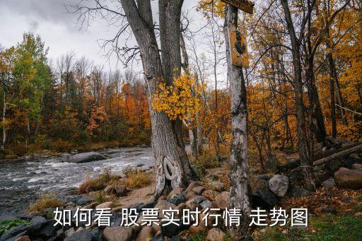 如何看 股票實(shí)時行情 走勢圖