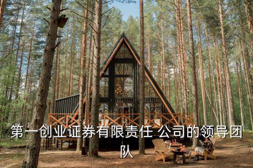 第一創(chuàng)業(yè)證券有限責(zé)任 公司的領(lǐng)導(dǎo)團(tuán)隊