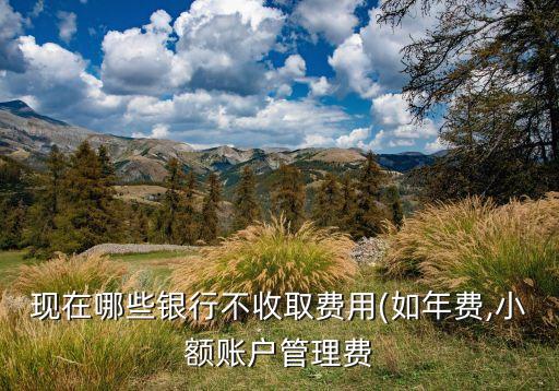 民生銀行儲蓄卡年費(fèi)