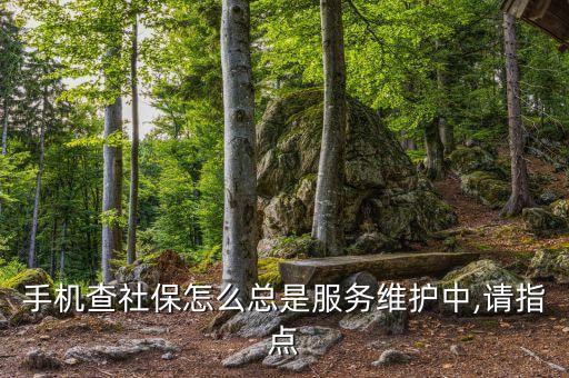 全國社會(huì)保障基金503