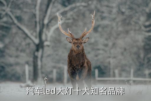 廣州嘉禾盛德汽車配件市場經(jīng)營有限公司