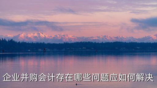 海爾集團存在的財務(wù)風(fēng)險