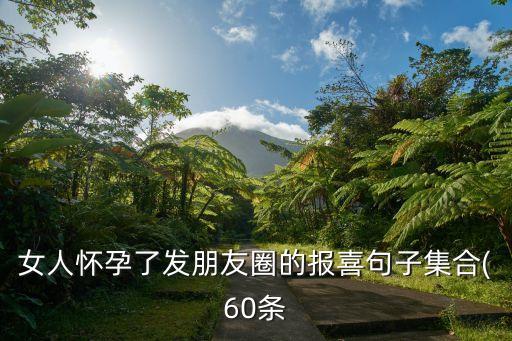 女人懷孕了發(fā)朋友圈的報喜句子集合(60條