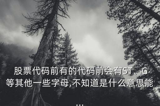  股票代碼前有的代碼前會有ST、G等其他一些字母,不知道是什么意思能...