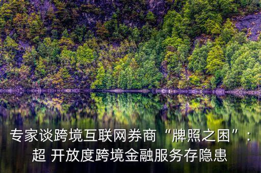 專家談跨境互聯(lián)網(wǎng)券商“牌照之困”:超 開放度跨境金融服務存隱患