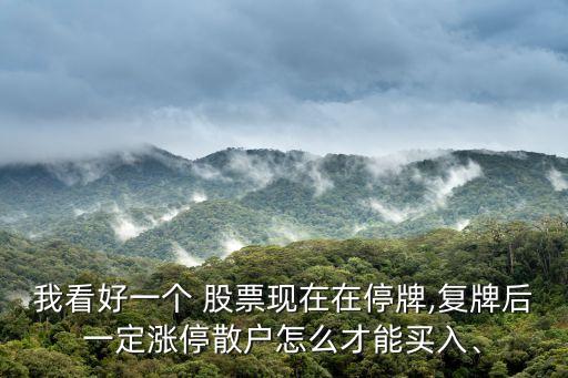 我看好一個 股票現(xiàn)在在停牌,復(fù)牌后一定漲停散戶怎么才能買入、