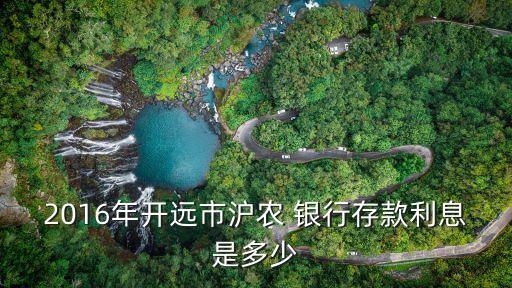 2016年開遠市滬農 銀行存款利息是多少