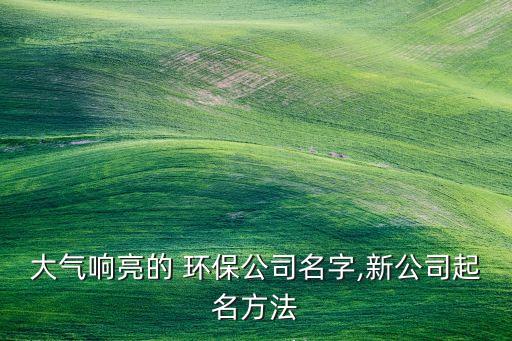 上海潔晟環(huán)?？萍?上海辨潔環(huán)保科技有限公司