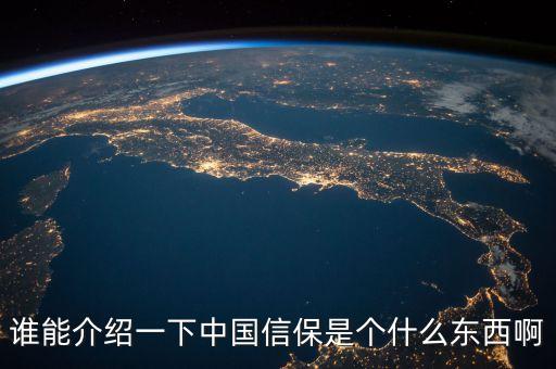 誰能介紹一下中國信保是個什么東西啊