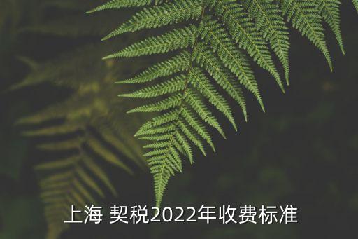  上海 契稅2022年收費標(biāo)準(zhǔn)