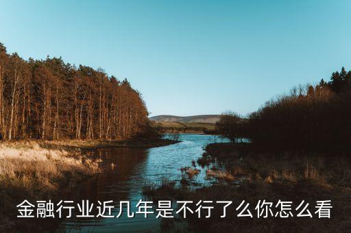 中國(guó)金融業(yè)的問題,簡(jiǎn)述中國(guó)金融業(yè)的發(fā)展過程