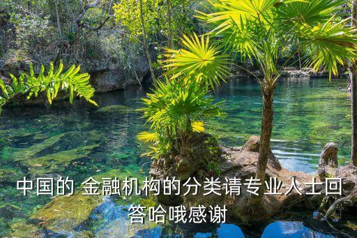 中國的 金融機構(gòu)的分類請專業(yè)人士回答哈哦感謝