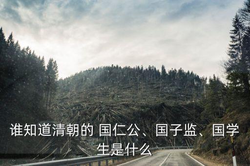 誰知道清朝的 國仁公、國子監(jiān)、國學生是什么