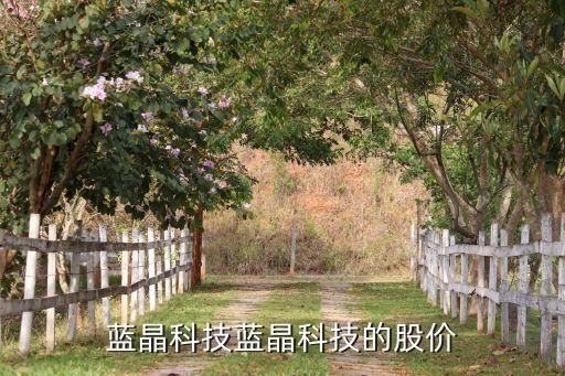 藍(lán)晶科技藍(lán)晶科技的股價(jià)