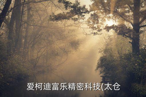  愛柯迪富樂精密科技(太倉(cāng)