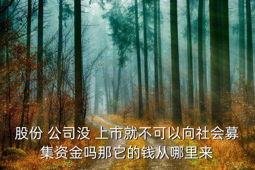 股份 公司沒 上市就不可以向社會(huì)募集資金嗎那它的錢從哪里來(lái)