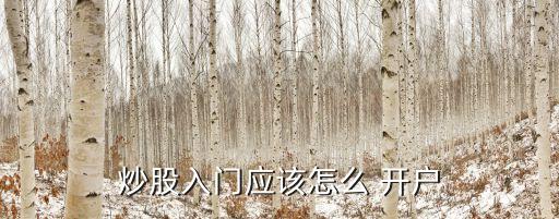 炒股入門應(yīng)該怎么 開(kāi)戶