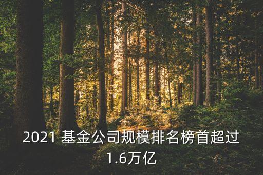 第八屆金?；鸺敖鹋；鸸精@獎(jiǎng)名單