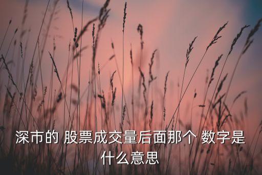 深市的 股票成交量后面那個 數(shù)字是什么意思