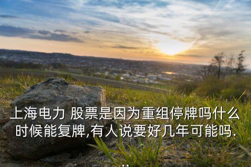 上海電力 股票是因?yàn)橹亟M停牌嗎什么時候能復(fù)牌,有人說要好幾年可能嗎...