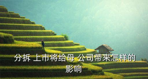  分拆 上市將給母 公司帶來(lái)怎樣的影響