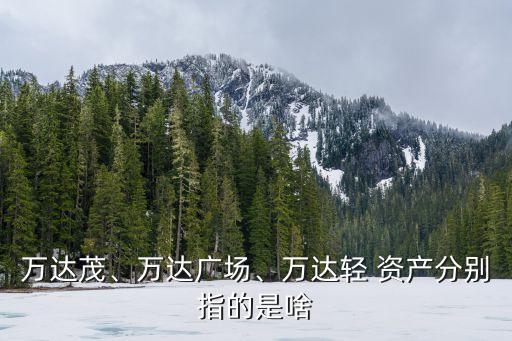萬達(dá)茂、萬達(dá)廣場、萬達(dá)輕 資產(chǎn)分別指的是啥