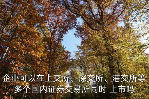 企業(yè)可以在上交所、深交所、港交所等多個(gè)國(guó)內(nèi)證券交易所同時(shí) 上市嗎