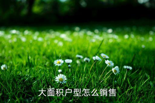 北京房地產(chǎn)投資大戶型不好賣(mài)