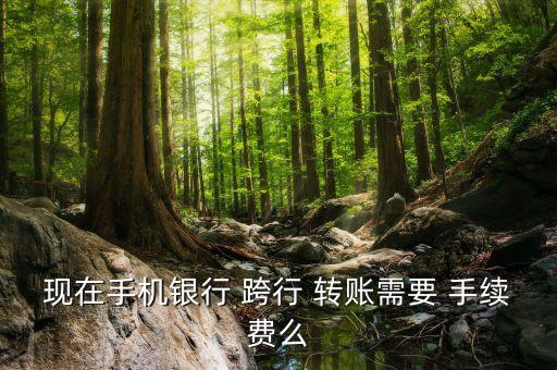 交通銀行跨行異地轉賬手續(xù)費,異地跨行轉賬需要收取手續(xù)費嗎?交通銀行