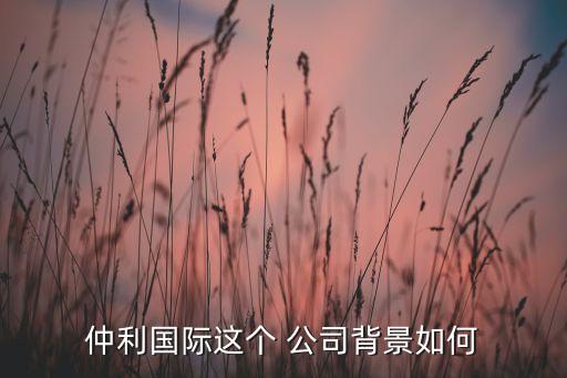仲利國際這個(gè) 公司背景如何