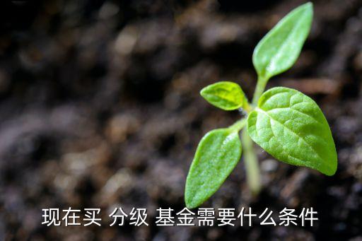 如何買(mǎi)分級(jí)基金b份額,分級(jí)基金a在哪里可以買(mǎi)