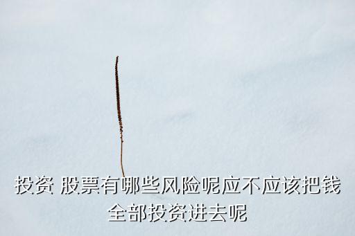 投資 股票有哪些風(fēng)險呢應(yīng)不應(yīng)該把錢全部投資進(jìn)去呢
