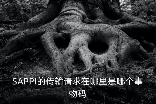 SAPPI的傳輸請求在哪里是哪個事物碼