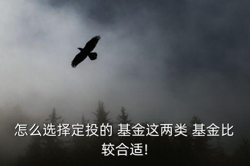 怎么選擇定投的 基金這兩類(lèi) 基金比較合適!