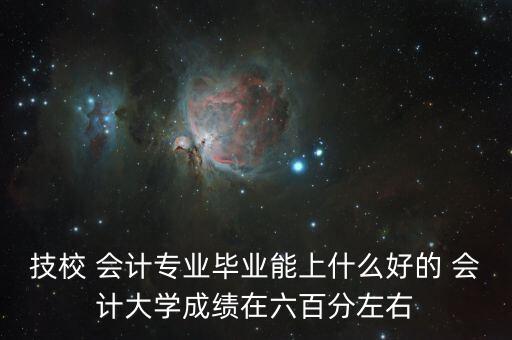 2013上海財(cái)經(jīng)大學(xué)會計(jì)學(xué)院學(xué)生畢業(yè)去向