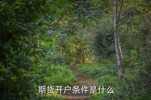 公司開立期貨賬戶,開立期貨賬戶待復核多久